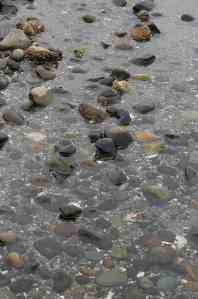 Soft Rocks - Twelve Months at Cultus Bay