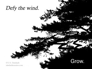 Defy the wind. Grow.
