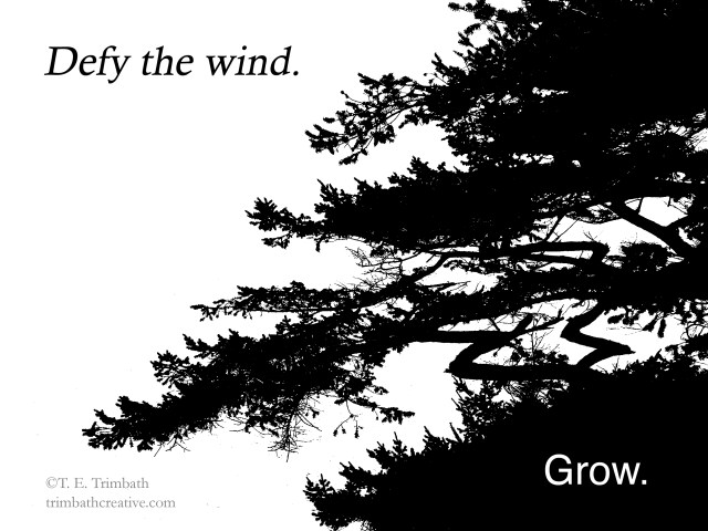 Defy the wind. Grow.