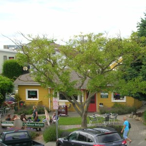 The view from my office.