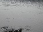 Raindrops