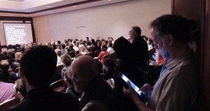 photo courtesy of Andrew Lewis (@rosemarybeetle)