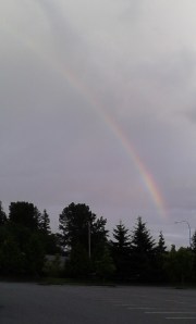 Catching rainbows when I can, usually just after a storm.