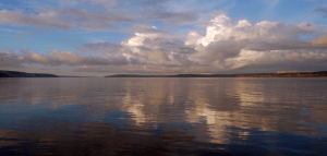 Lemons: wind storm Lemonade: calm waters the following day