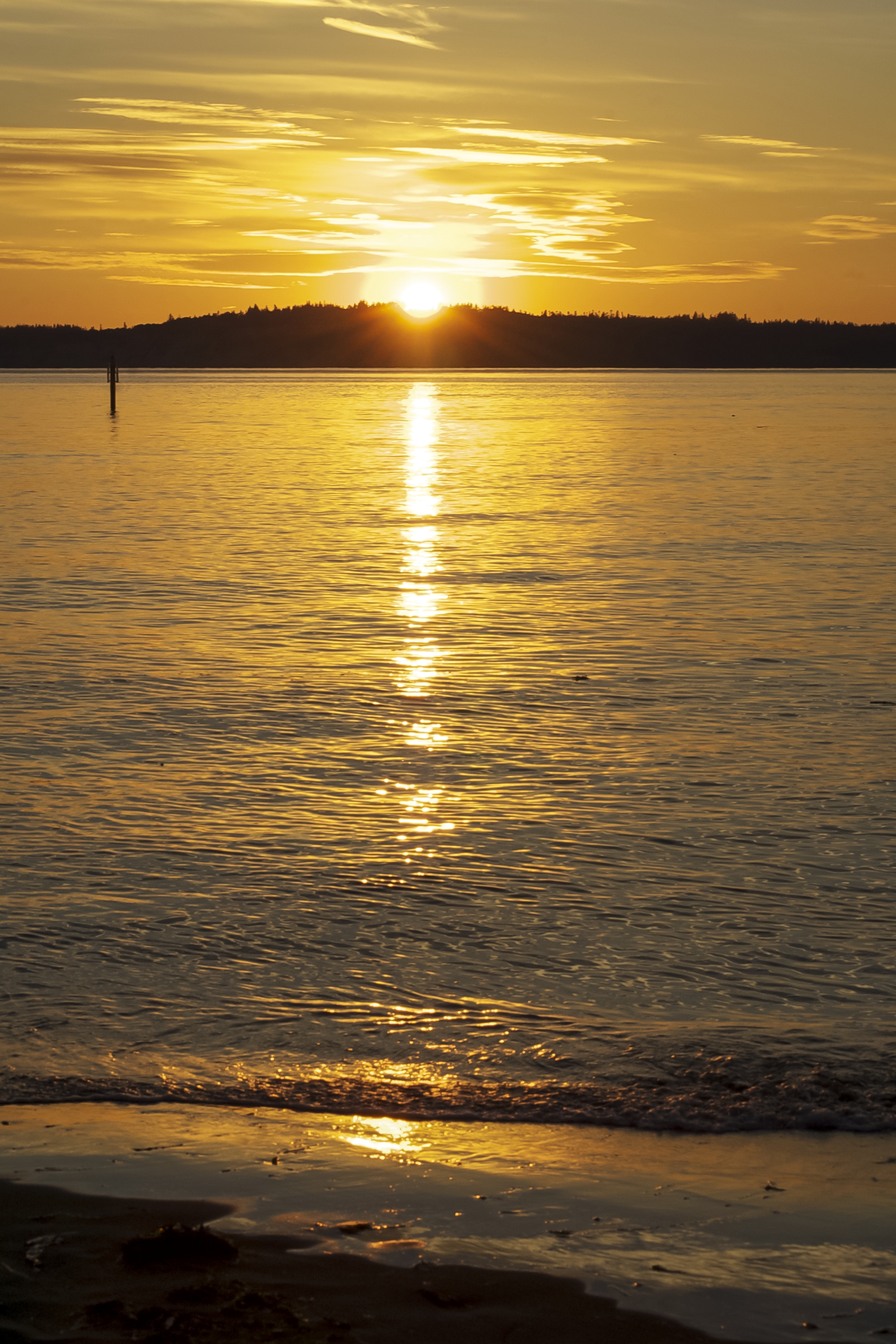 DSC_8470_That Brilliant Moment