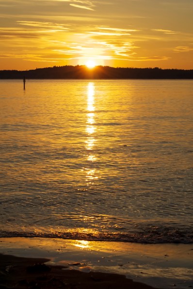 DSC_8470_That Brilliant Moment